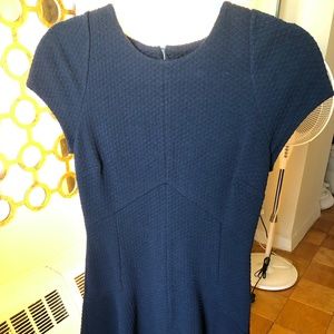 Banana Republic Fit and Flare Dress